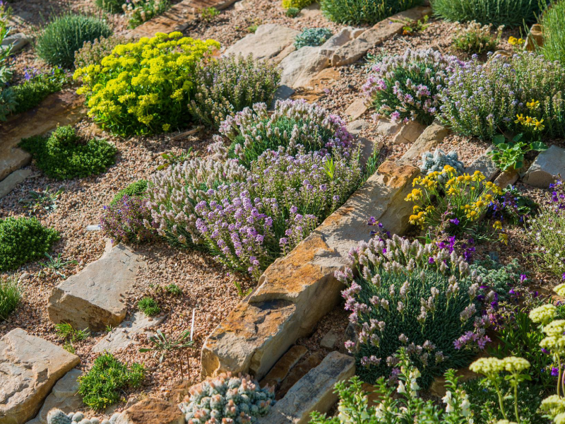 Jardines Sustentables en Chile - Servicio Diseño y Planificación