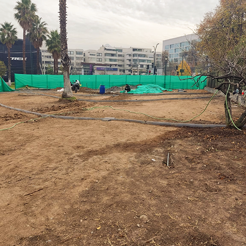 plazas con bajo consumo de agua