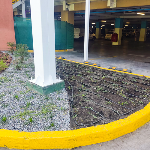 Jardines Sustentables en Chile - Servicio Diseño y Planificación