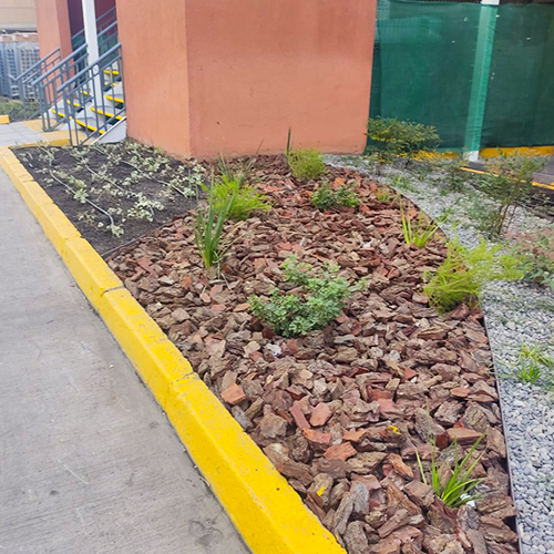Jardines Sustentables en Chile - Servicio Diseño y Planificación