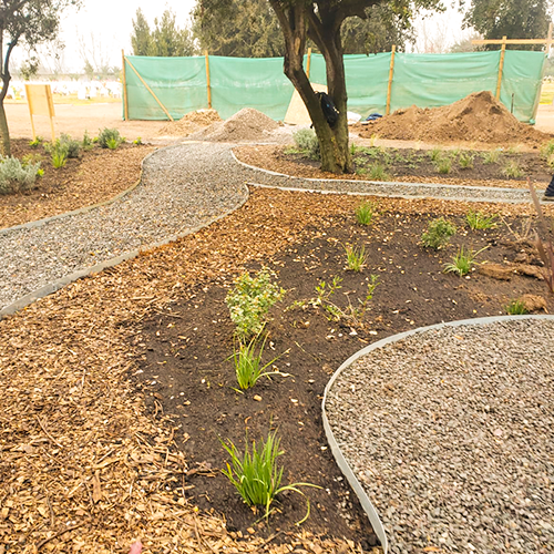Jardines Sustentables en Chile - Servicio Implementacion y optimización